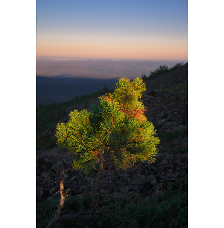 * - Александр Иванов