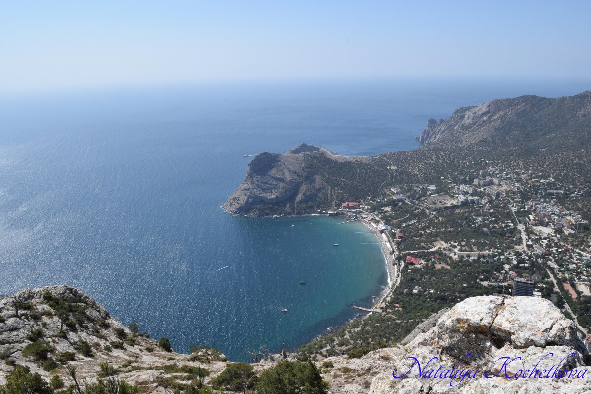 Природа Крыма - Amazing Cosmea