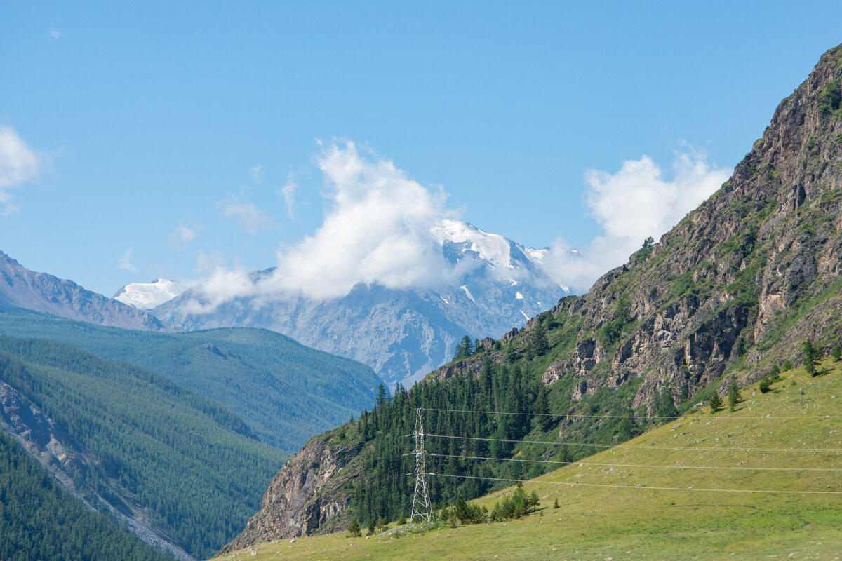 *** - Николай Чекалин
