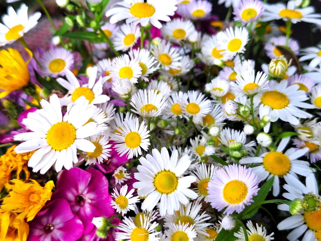 Полевой букетик - Наталья 