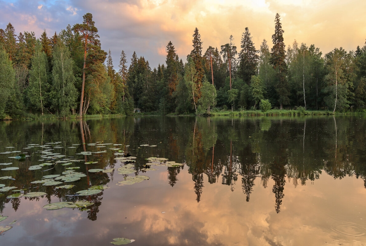 Вартемяжское озеро - skijumper Иванов