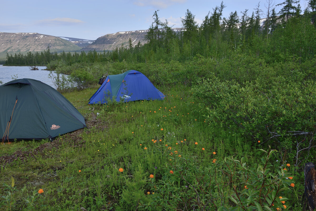 ** - Александр Хаецкий
