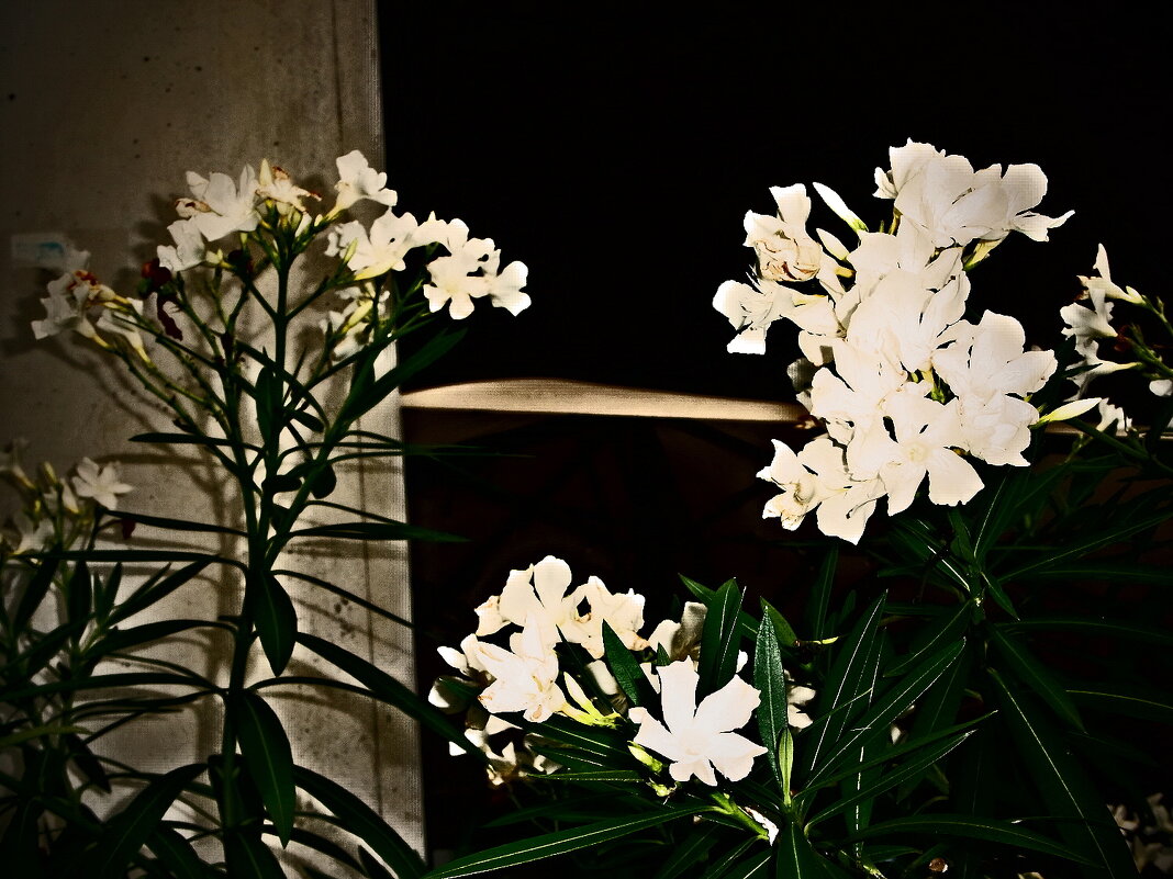 Летние этюды 68 - Алексей Кузнецов