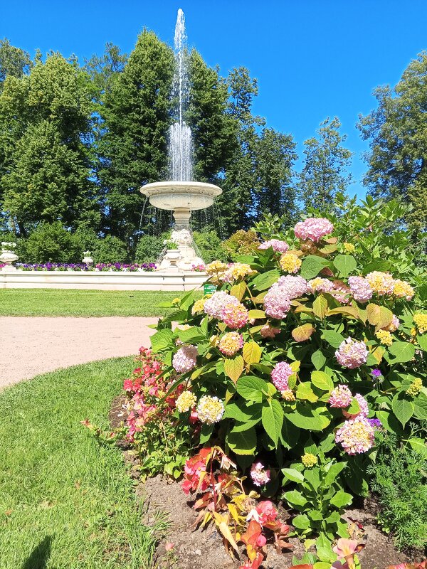 Фонтан - Сапсан 