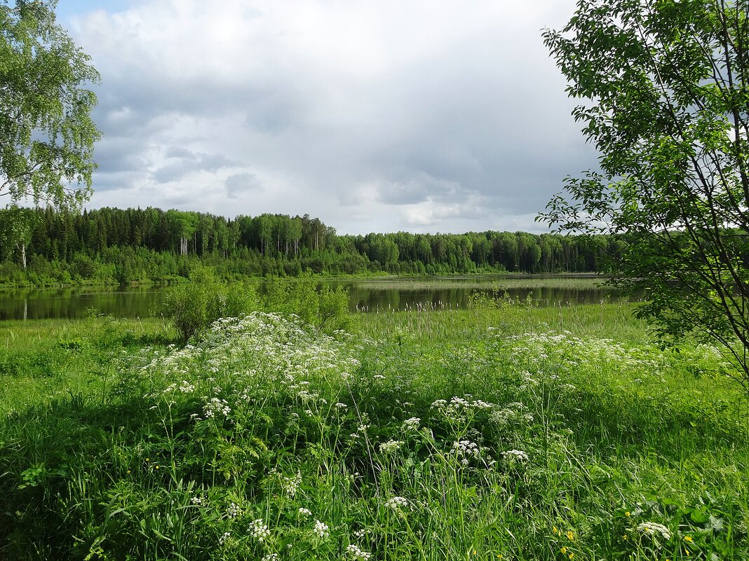 Село Рябово - Лидия Бусурина