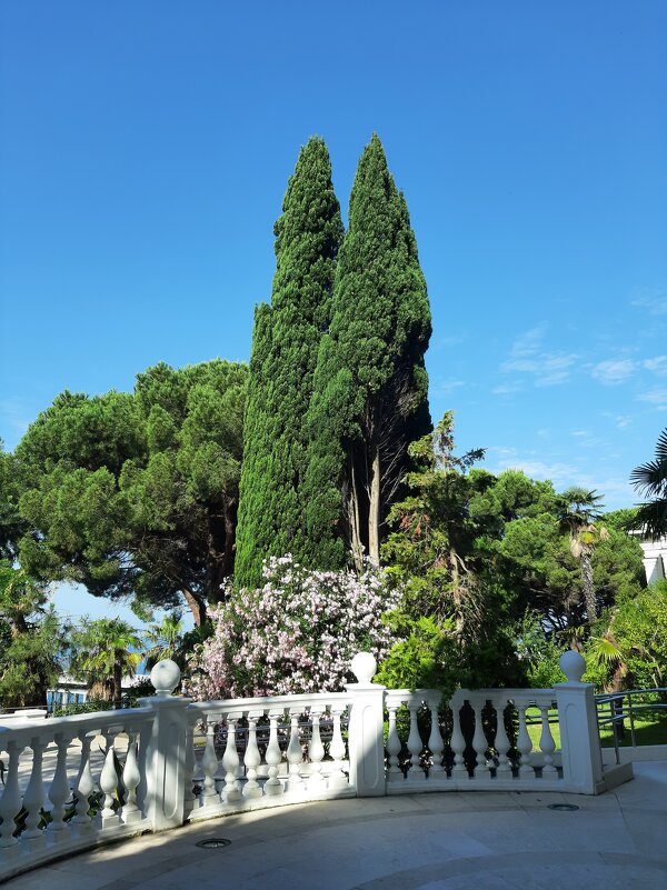 САНАТОРИЙ АВАНГАРД - Tata Wolf