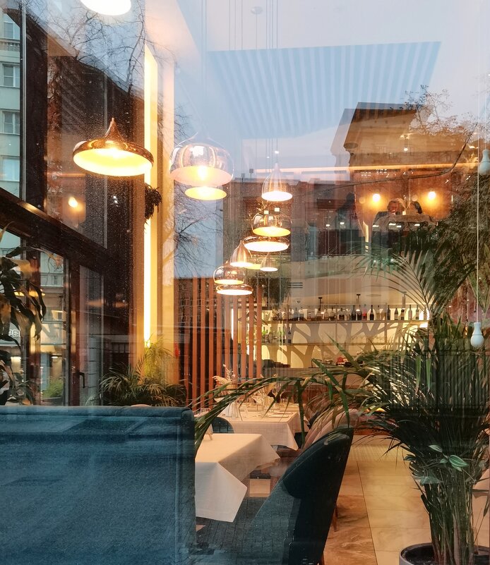 Отражения - Любимова Ольга 