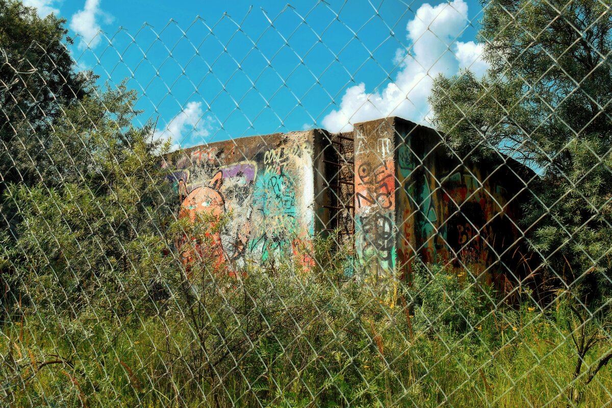 Видим цель и первое препятствие. - Татьяна Помогалова Видим цель и первое препятствие. - Татьяна Помогалова