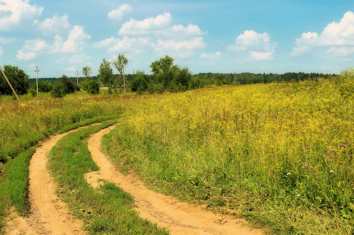 Идём, бредём по навигатору. - Татьяна Помогалова