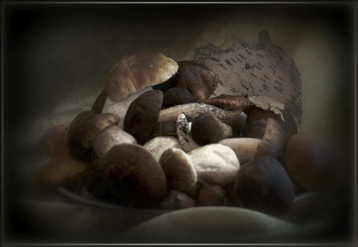 Сон грибника.... - Aleksandr Gal Сон грибника.... - Aleksandr Gal