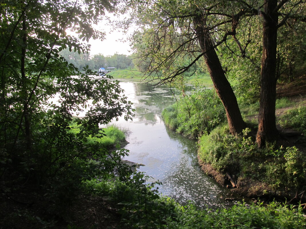 за городом - Елена Шаламова