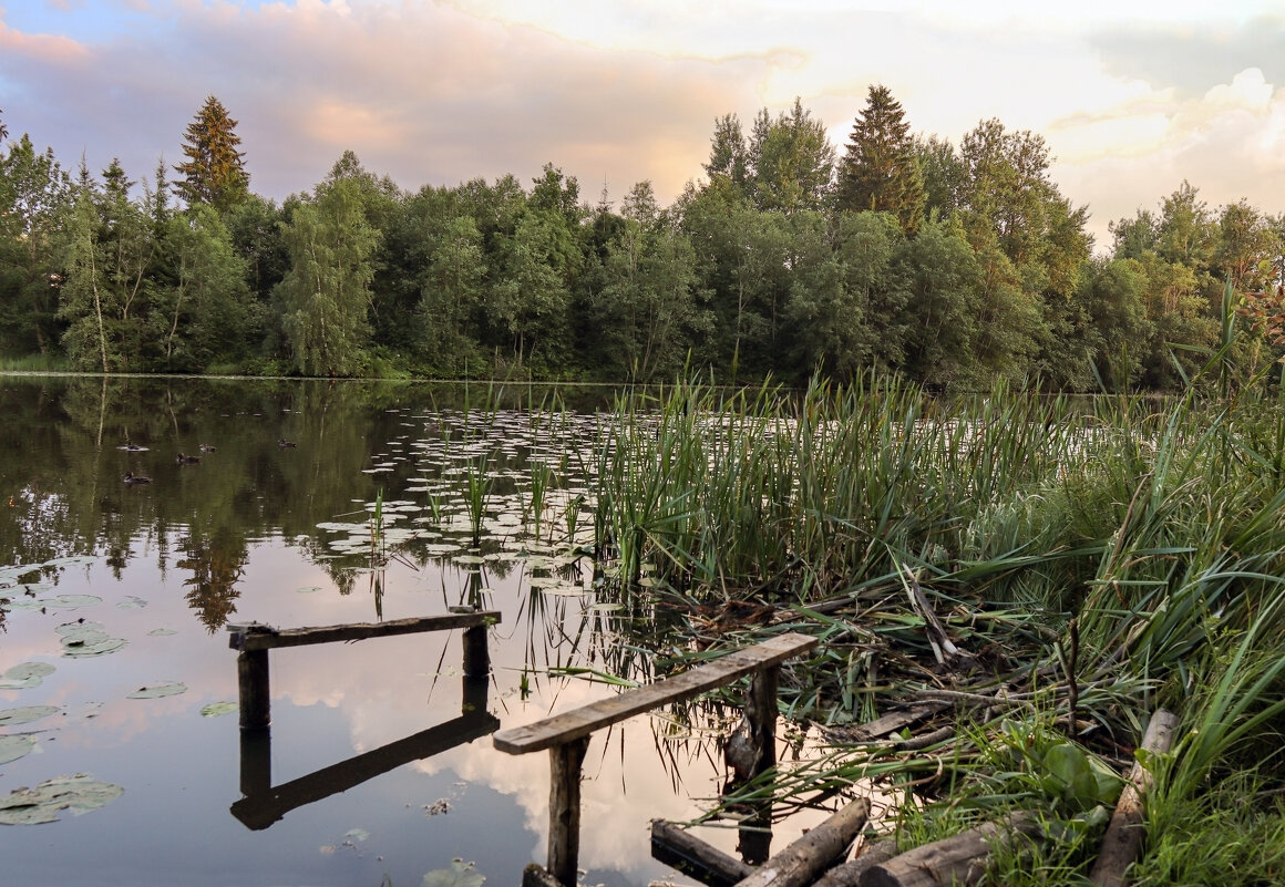 Вартемяжское озеро - skijumper Иванов
