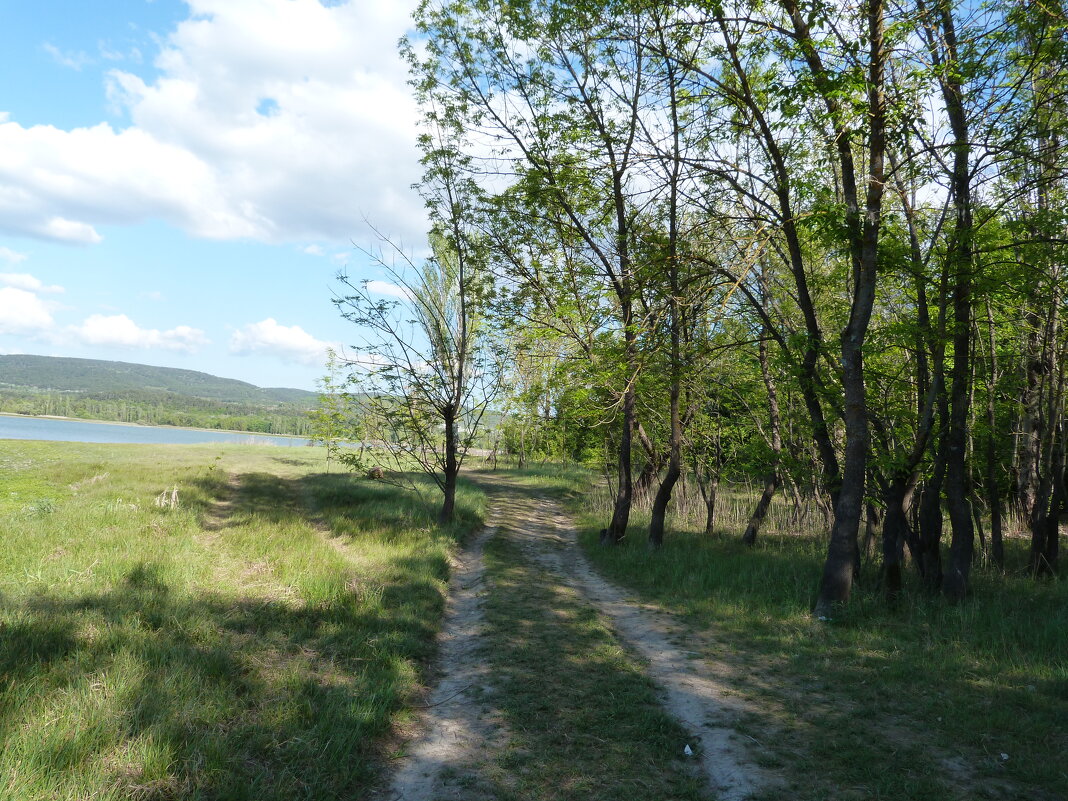 Природа  Крыма - Валентин Семчишин