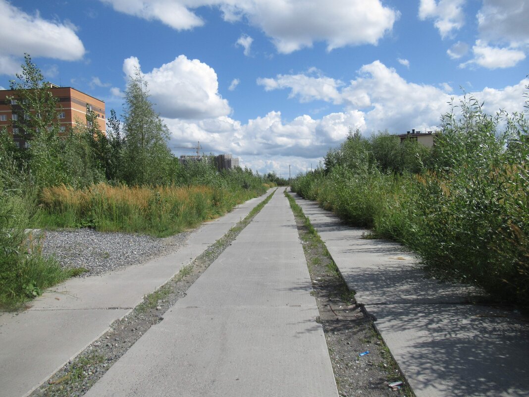 Дорога в облака - Андрей Макурин