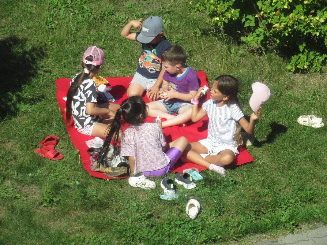 Пикник под окном - Андрей Макурин