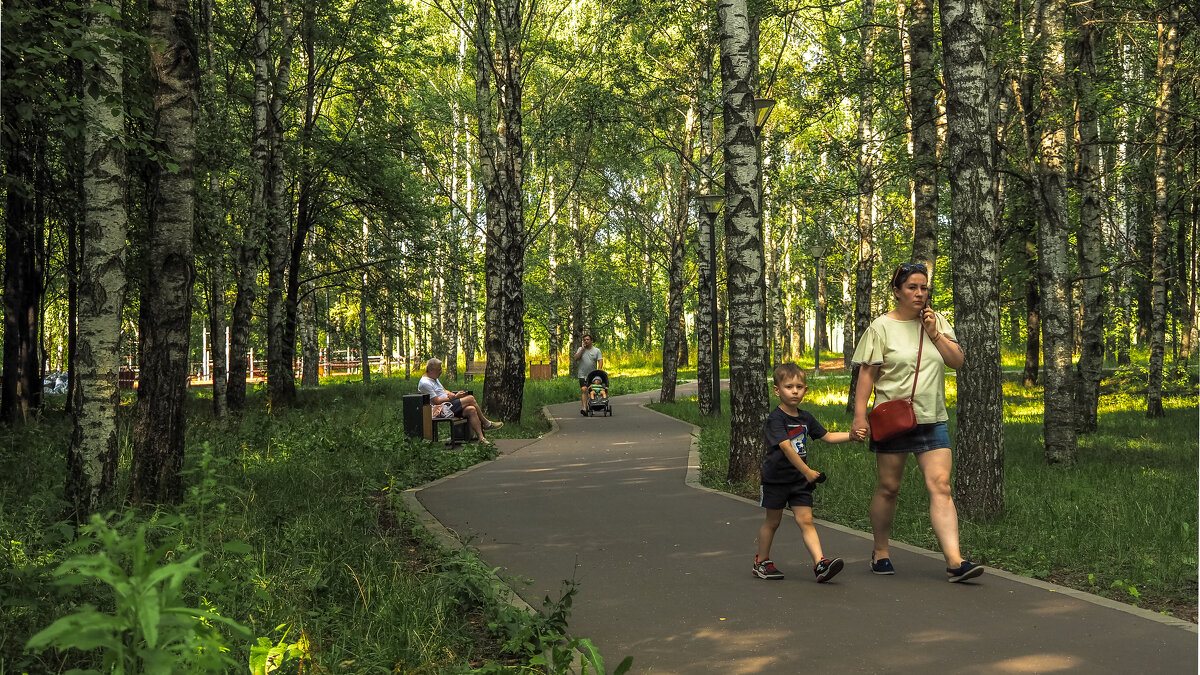 В Летнем Парке - юрий поляков В Летнем Парке - юрий поляков