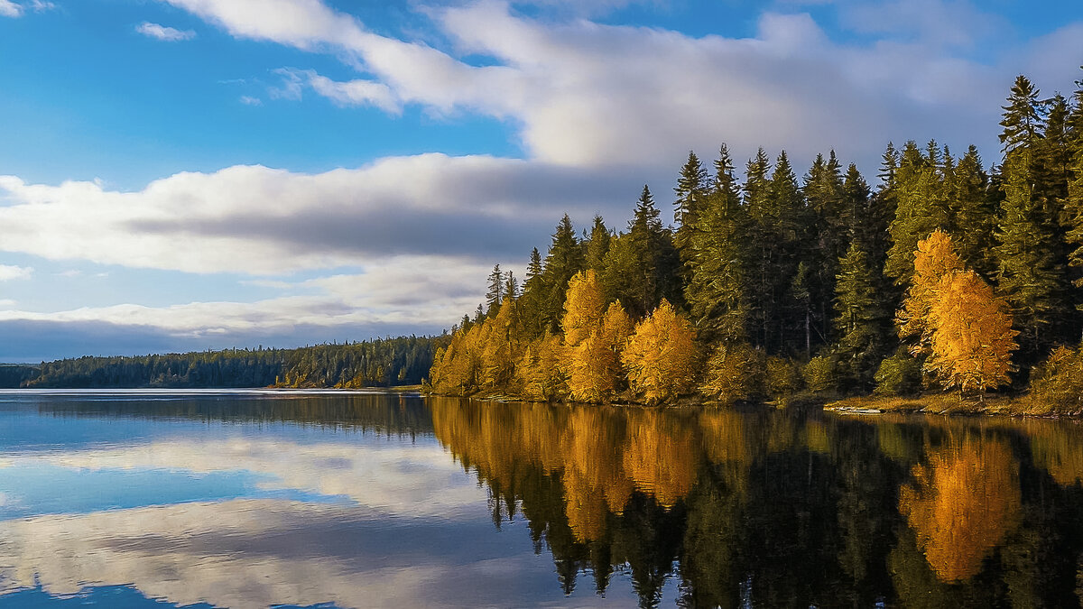 Швеция - Aleksey Afonin