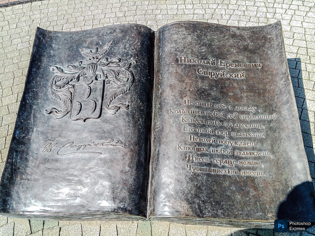 Открытая книга - Юлия Денискина