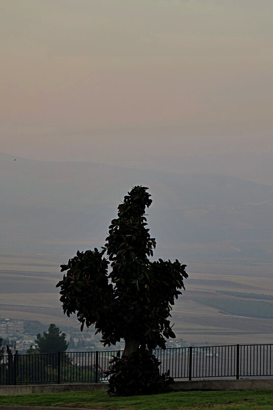 Рассветает - Аркадий Басович