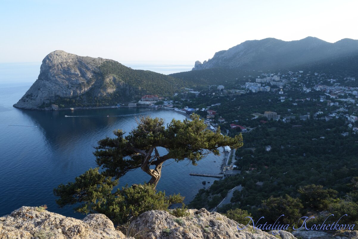 Природа Крыма - Amazing Cosmea Природа Крыма - Amazing Cosmea