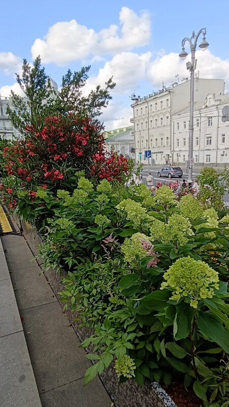 на улицах города - Галина R... на улицах города - Галина R...