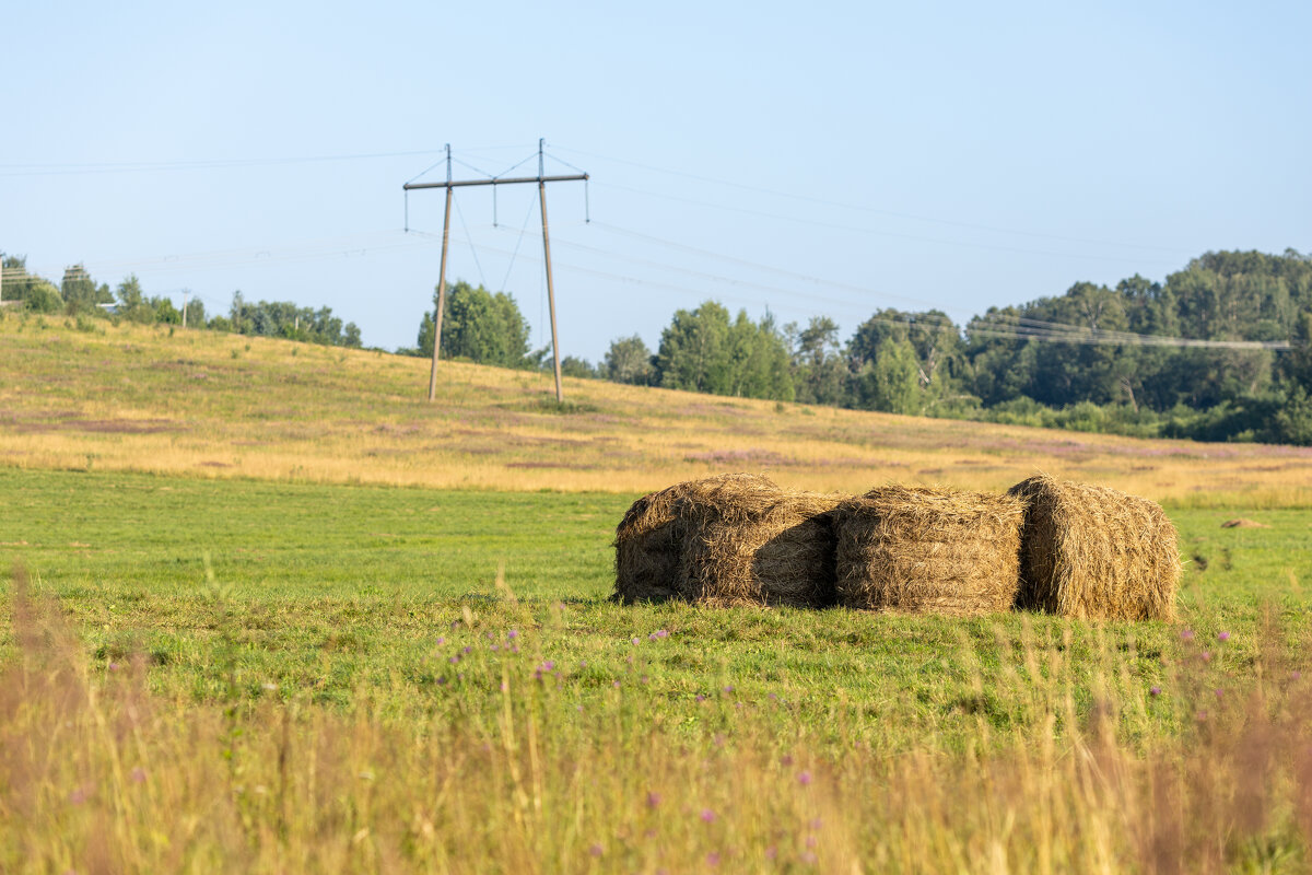 Поле - k-e-r-g-u-d-u DM