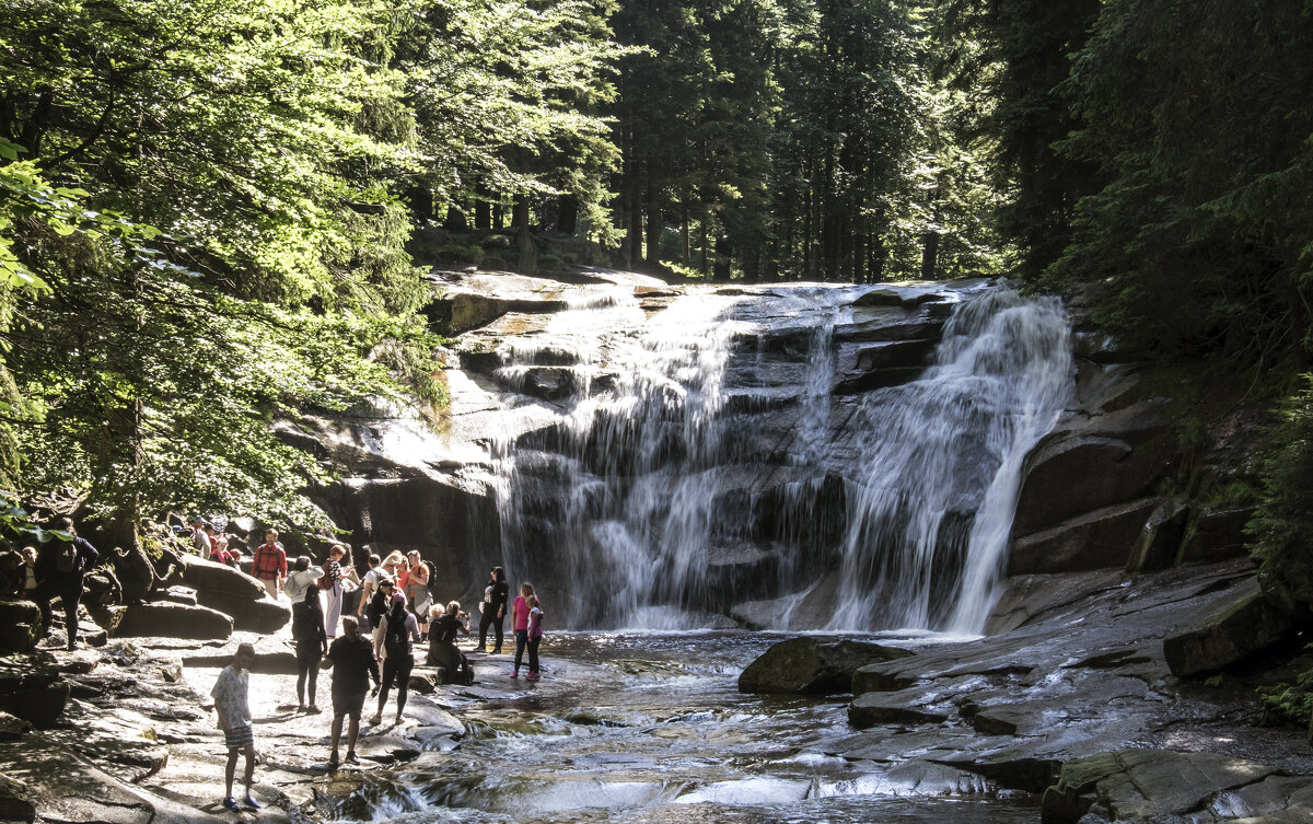 ** - Александр Липовецкий