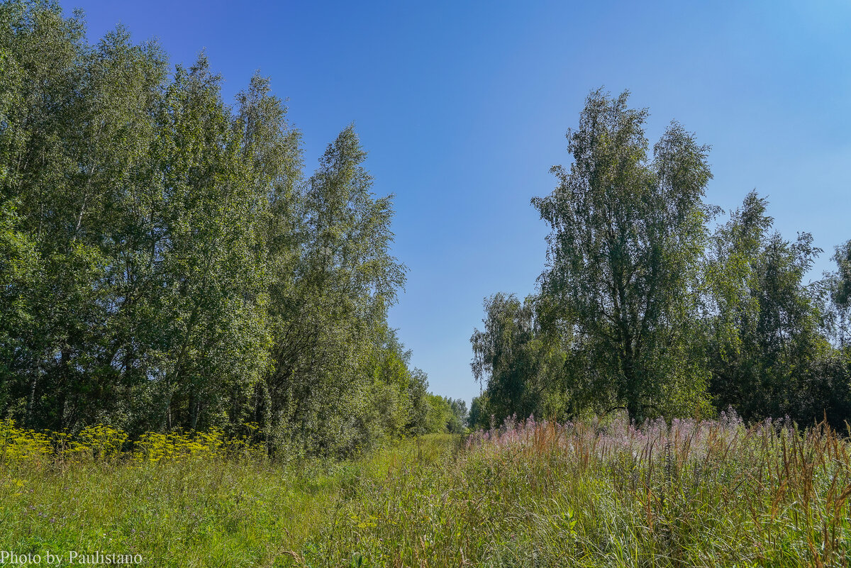 В летний полдень... - Владимир Жданов В летний полдень... - Владимир Жданов