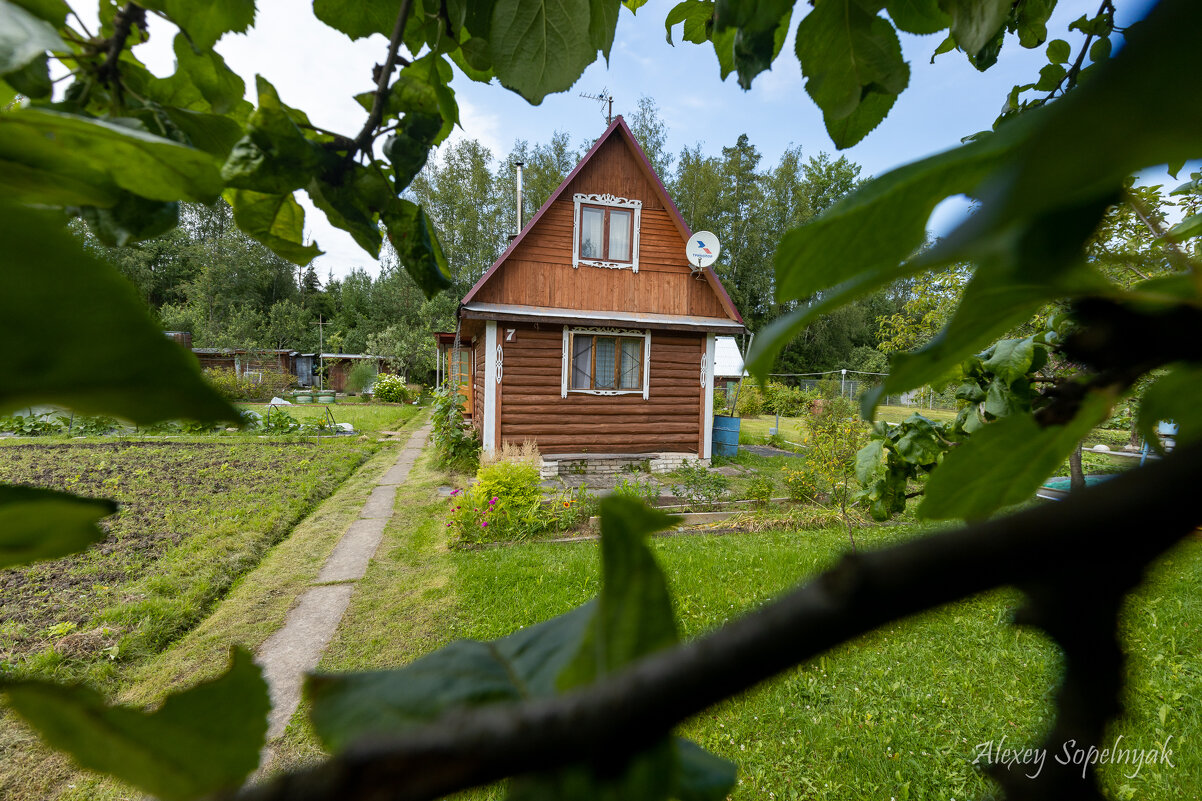 Родная дача - Алексей Сопельняк
