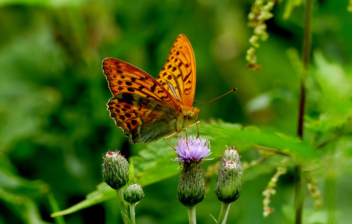 из вчерашней съемки 4 - Александр Прокудин