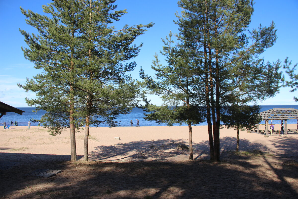 Ладожское Озеро - Наталья Герасимова Ладожское Озеро - Наталья Герасимова