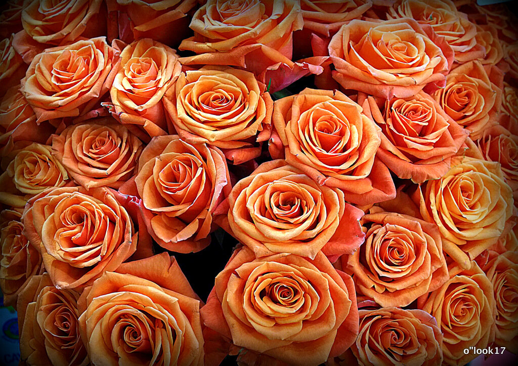 они на радость нам даны - Олег Лукьянов