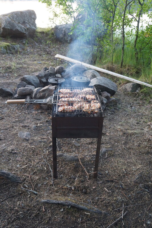 барбекю - zavitok *