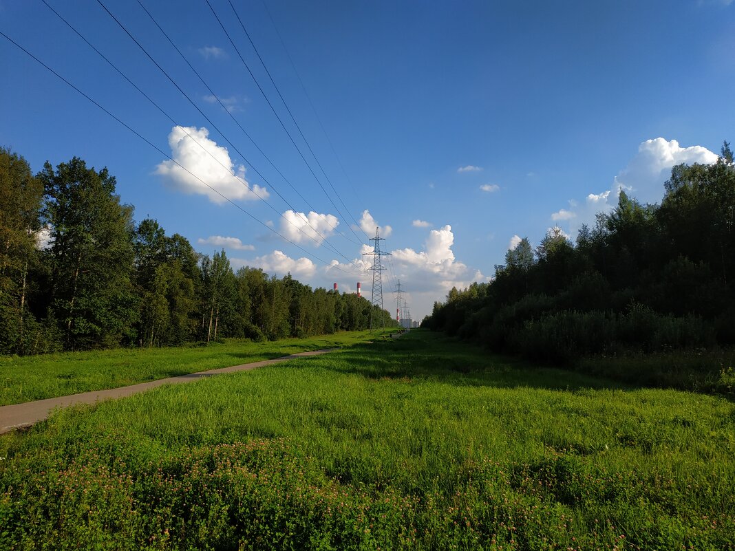 У каждого своя Москва. Мне по душе - такая. - Андрей Лукьянов