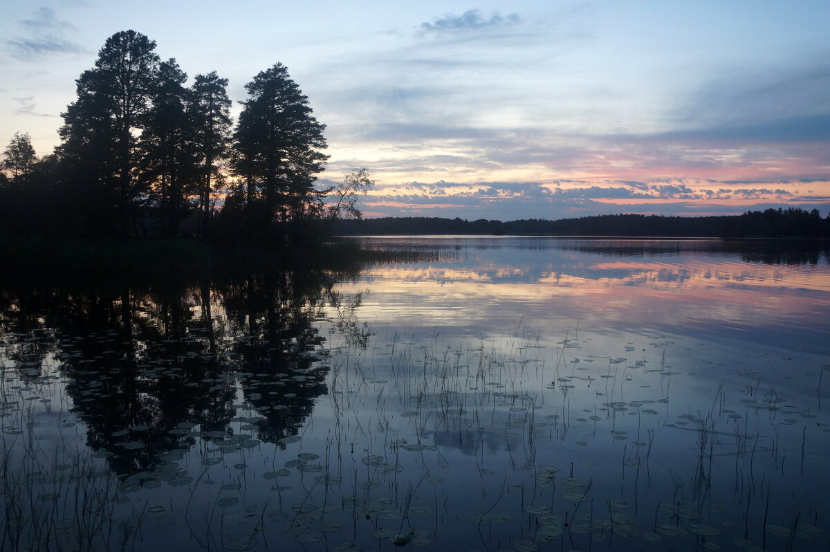 проводы белых ночей - zavitok *