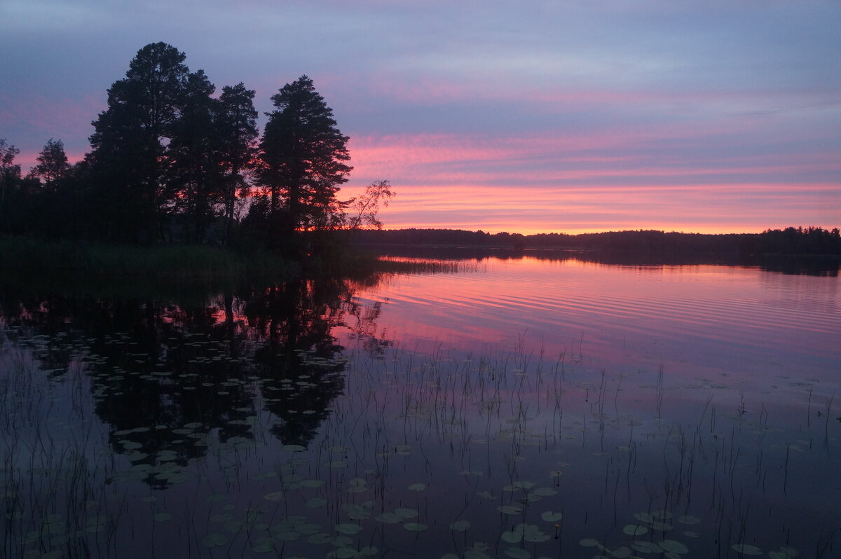 "...долго будет Карелия сниться..." - zavitok *