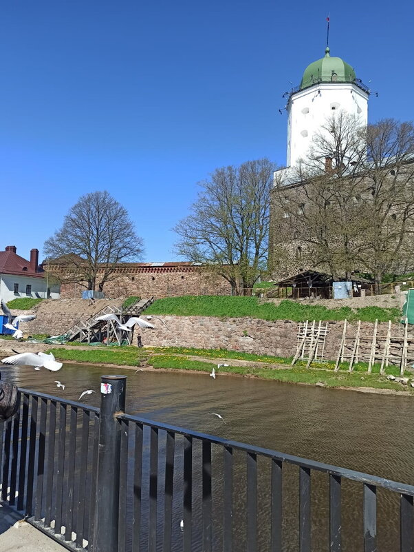 Выборгский замок. Башня Святого Олафа - Ольга Довженко