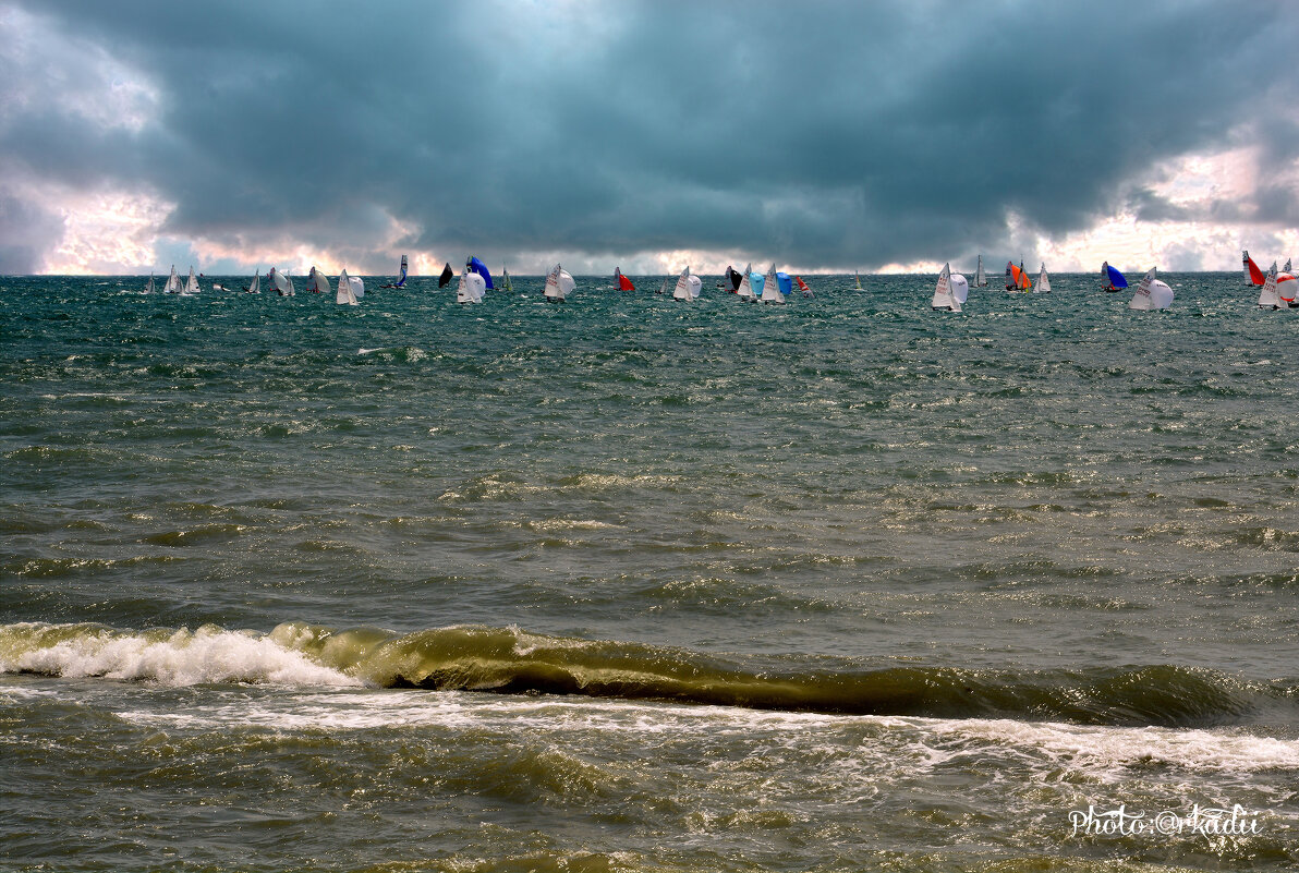 Регата (серия) - arkadii Регата (серия) - arkadii