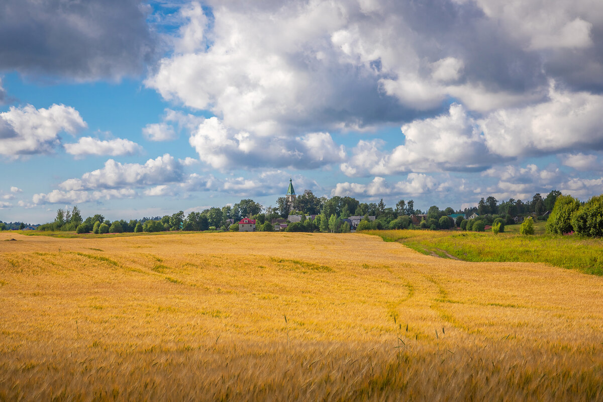 **** - Елизавета .