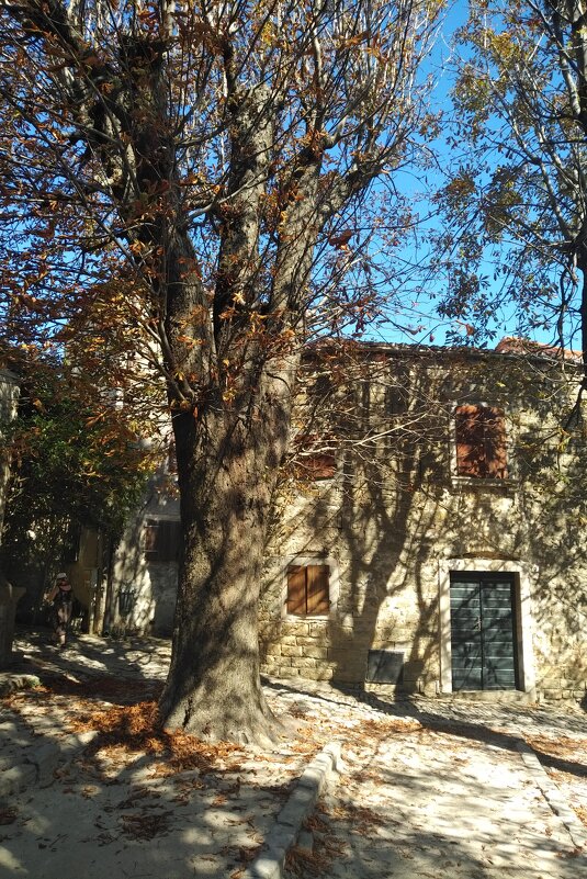 Как это по осеннему красиво - Натали 