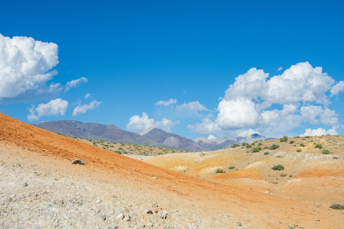 *** - Николай Чекалин