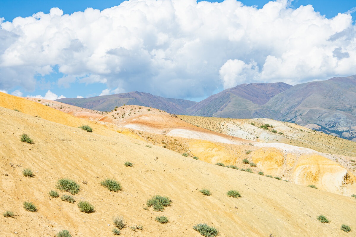 *** - Николай Чекалин