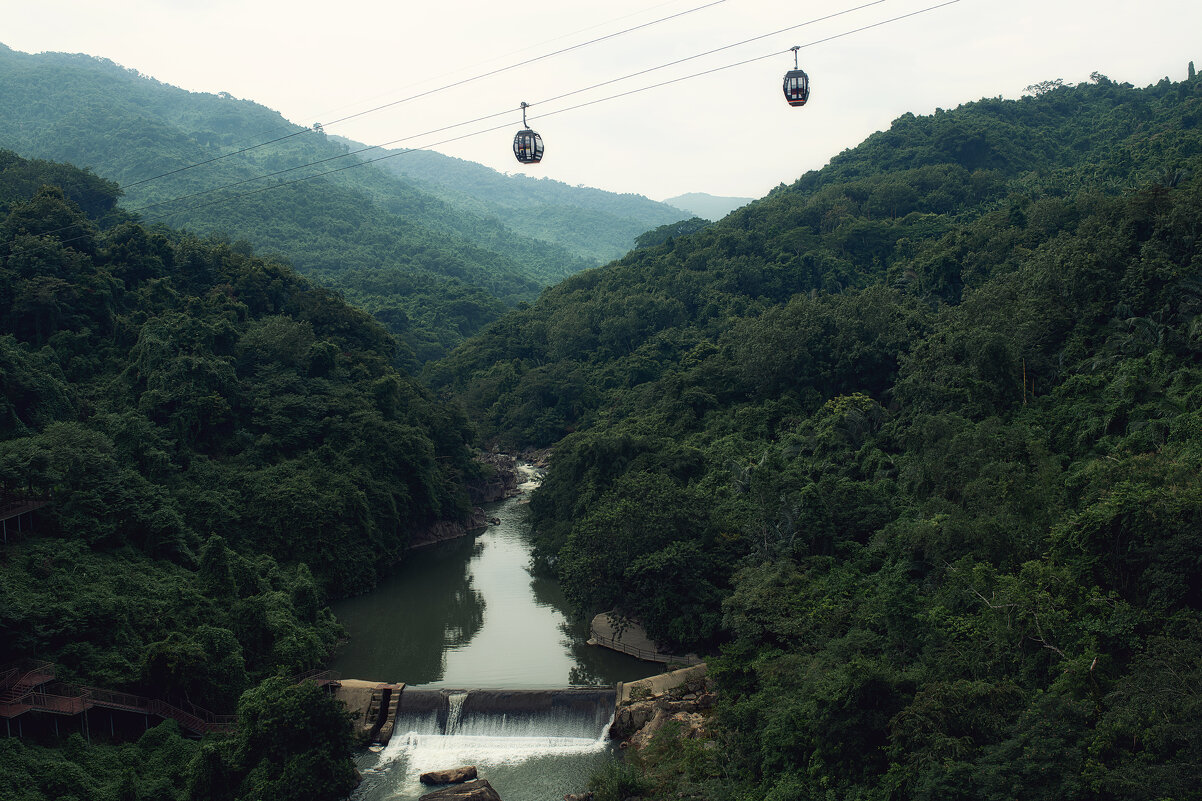 Тропический лес - Лилия . Тропический лес - Лилия .