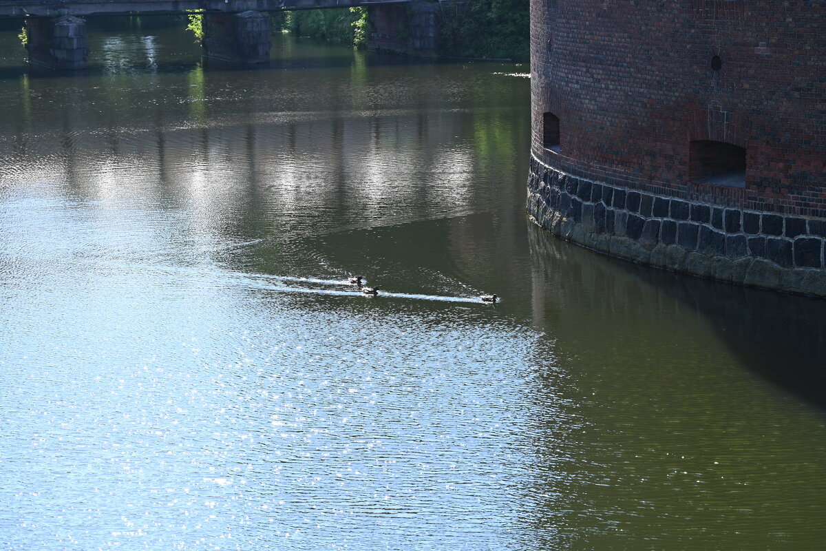 Солнечный город - redfox Солнечный город - redfox