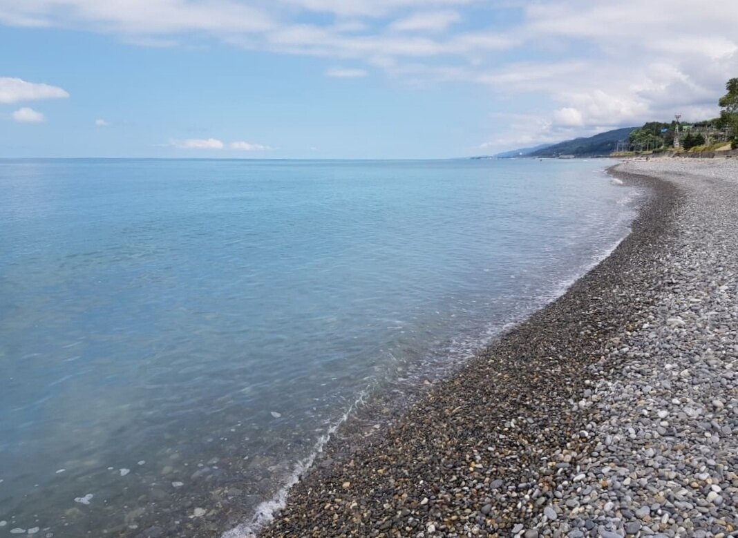 ЛЕТО - Tata Wolf