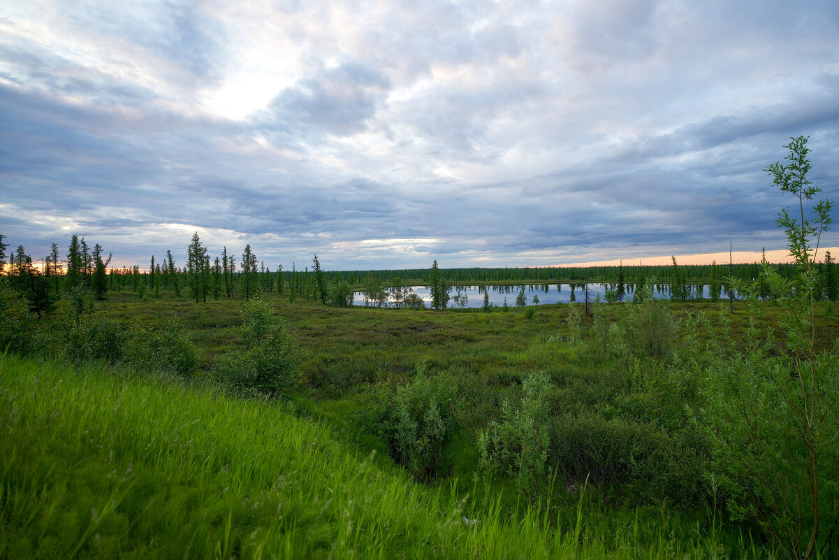 Лето - Виктория 