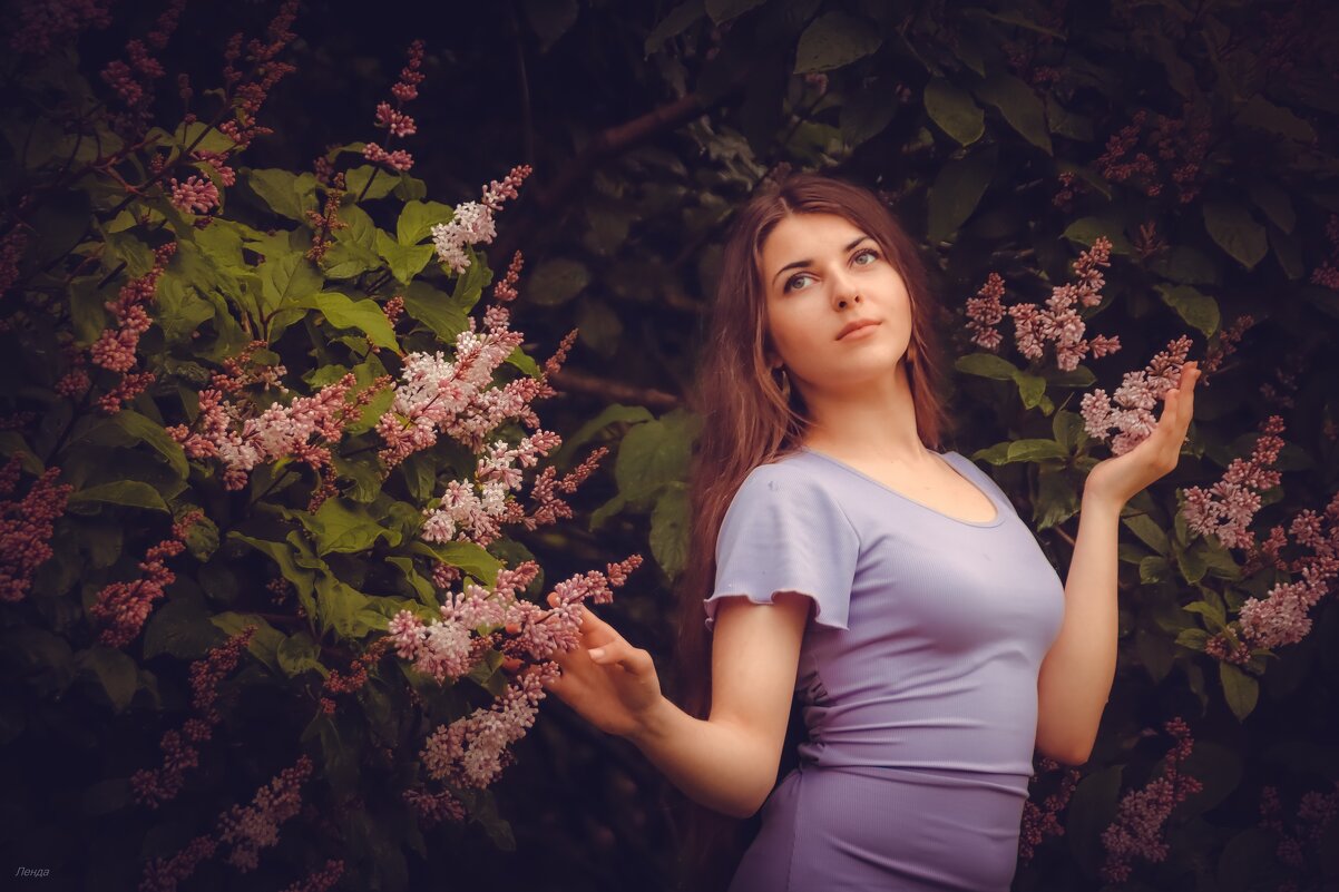 Сирень - Лейла Башилова