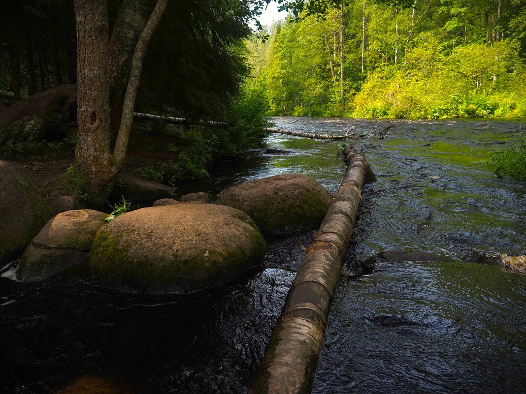 Линдуловская роща - Магомед .