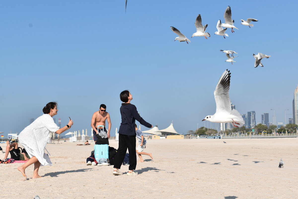 На пляже в Абу-Даби - Alex182 