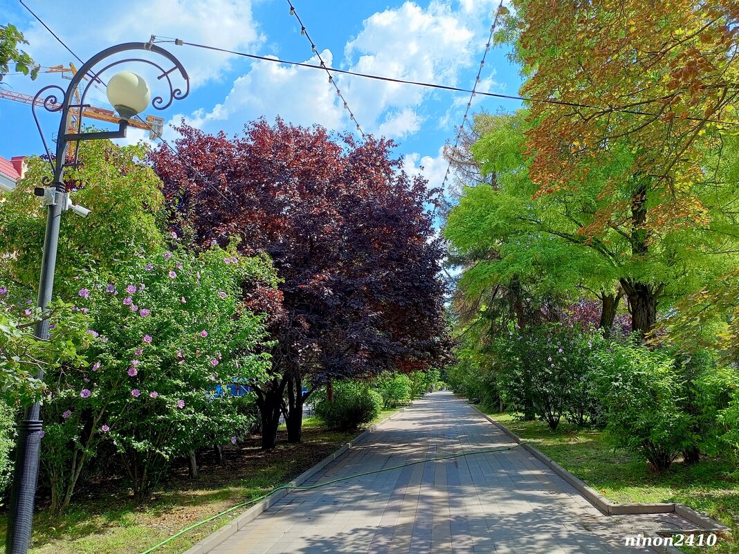 Ростовское лето - Нина Бутко